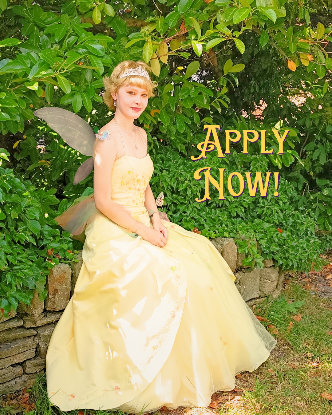 Fairy Princess